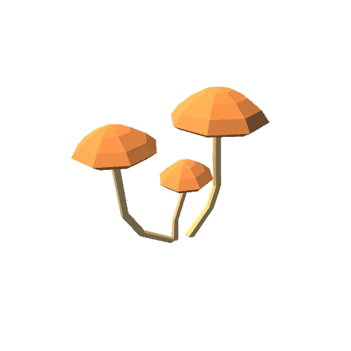 Mushroom Honey fungus